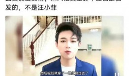 黑粉爆料汪小菲视频大全,黑粉爆料背后的真相揭秘